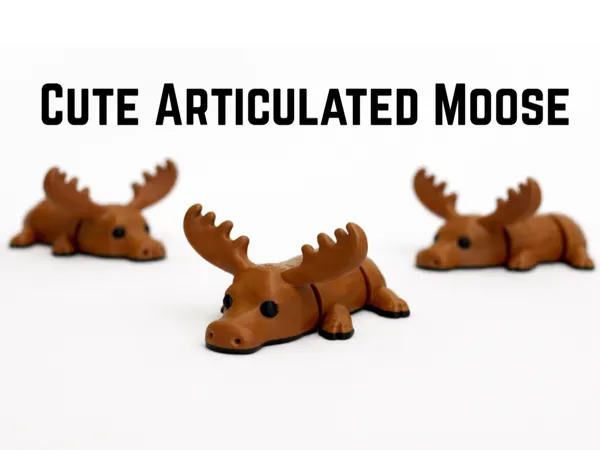 https://makerworld.bblmw.com/makerworld/model/US556344b68da997/design/2025-12-29_d082629866445.png