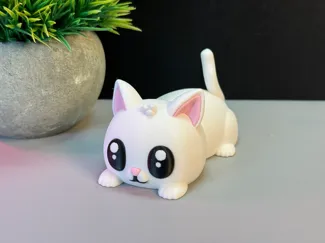 adorable cat
