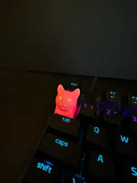0.28mm layer, 2 walls, 10% infill