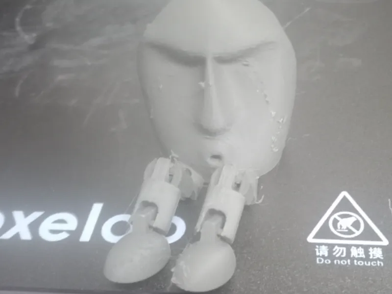 rock with legs