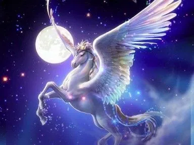 Unicorn :)