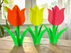 Plug-in Tulip