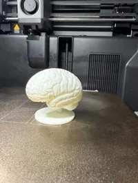 0.28mm layer, 2 walls, 15% infill