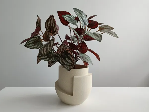 https://makerworld.bblmw.com/makerworld/model/US55761dabc2e0e8/design/2025-01-10_c71b088a84809.jpg