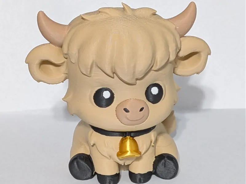 Cute baby highland cow