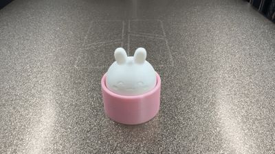 Cute Rabbit Fidget Clicker