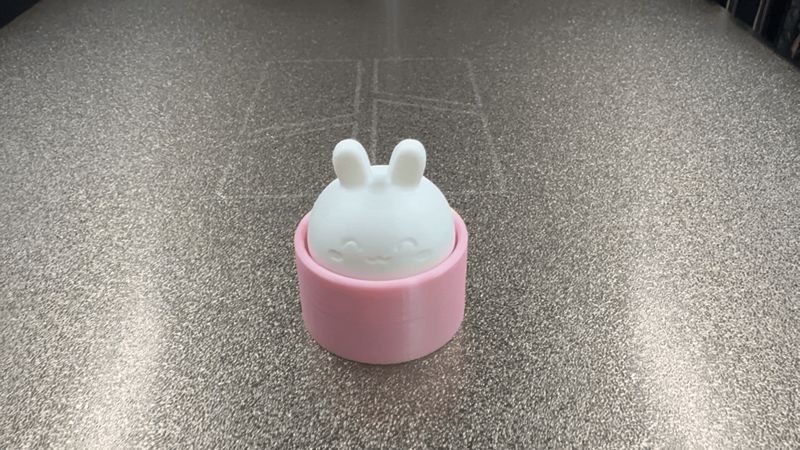 Cute Rabbit Fidget Clicker
