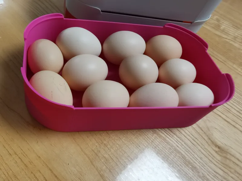 鸡蛋容器、鸡蛋盒子、鸡蛋盒、egg box
