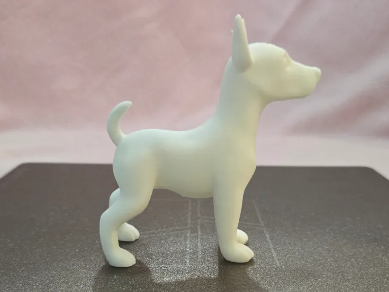 Alert Standing Dog