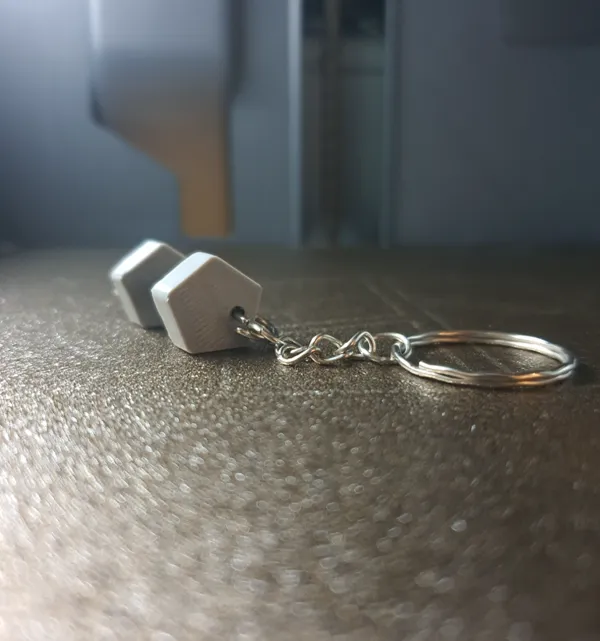 https://makerworld.bblmw.com/makerworld/model/US5583677835e006/design/2024-07-23_b9930b00cdc7c.jpg