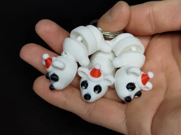 https://makerworld.bblmw.com/makerworld/model/US5586690867f344/design/2024-11-20_e352537d1dd658.jpeg