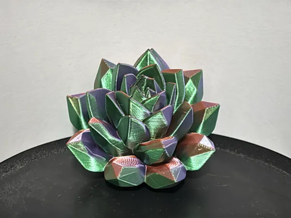https://makerworld.bblmw.com/makerworld/model/US55889a1cfd8a92/design/2025-05-26_4a61d25df33b78.jpg
