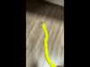 0.16mm layer, 2 walls, 15% infill