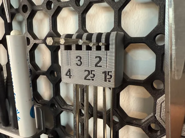 https://makerworld.bblmw.com/makerworld/model/US559bfe1e56471d/design/2025-02-05_0776f0391616f.jpg