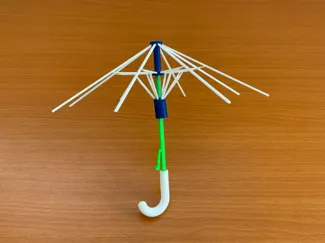 automatic umbrella