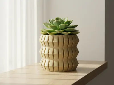 Succulent Pot for Home Decor