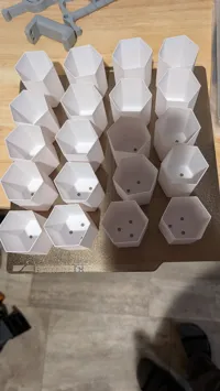 Bambu PETG HF, Pods on one plate 0.2mm layer, 2 walls