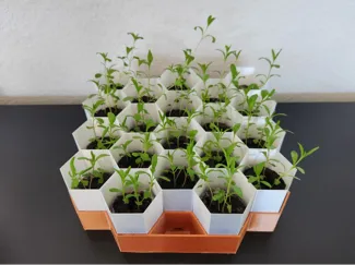 Hexagonal Seed Starter Tray