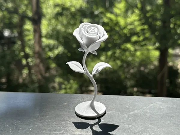 https://makerworld.bblmw.com/makerworld/model/US55a771cf528b71/design/2025-07-01_d0ed46f9436cc.png