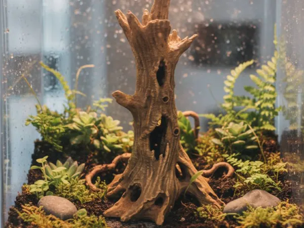 https://makerworld.bblmw.com/makerworld/model/US55aae886571bb6/design/2025-12-21_547d7cabbaa68.jpg