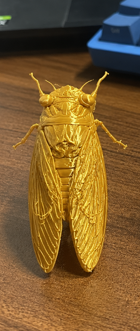 Miniatura 3 do modelo 3D 蝉-金蝉-夏蝉-知了猴-知了-爬杈