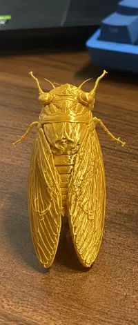 蝉-脱壳