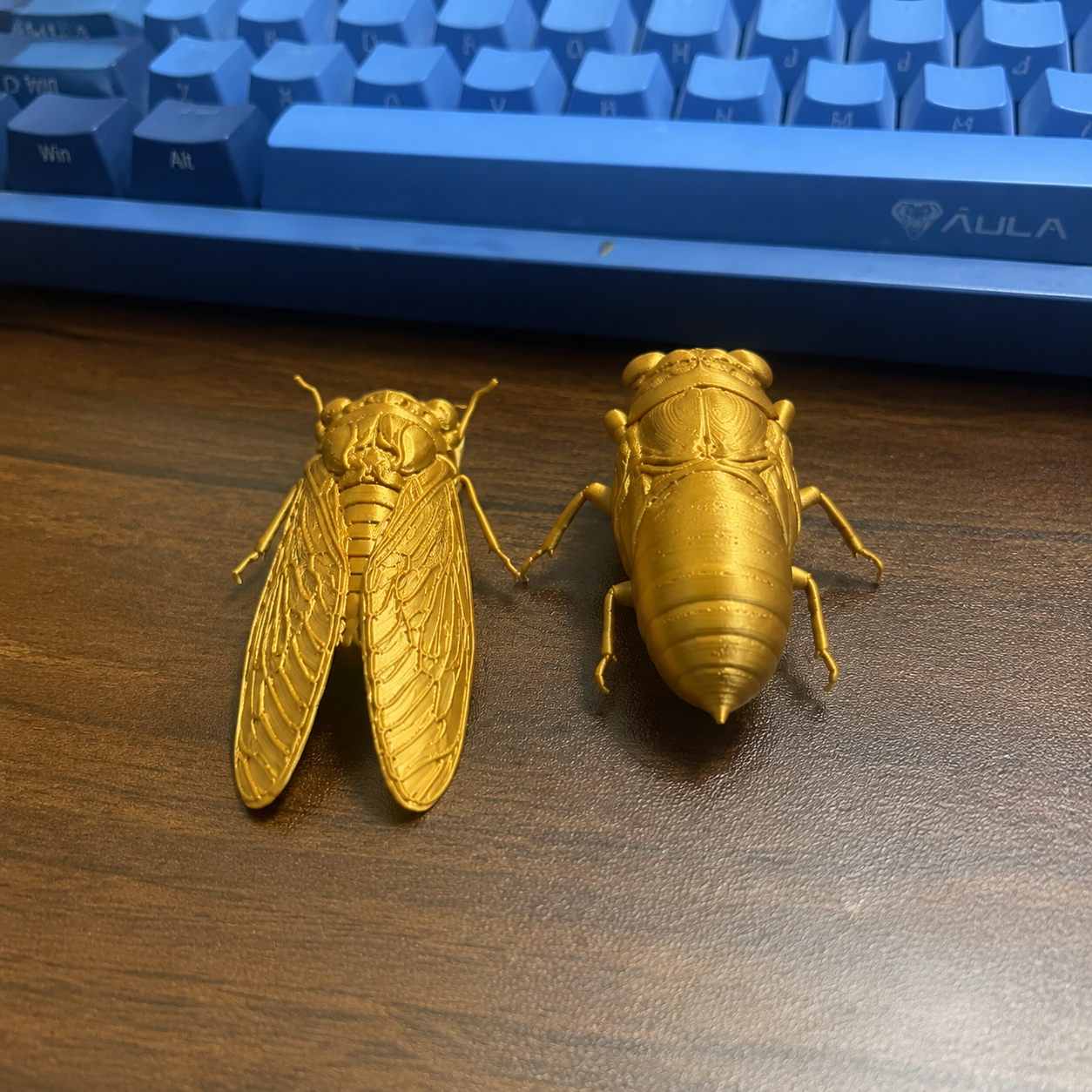 Miniatura 4 do modelo 3D 蝉-金蝉-夏蝉-知了猴-知了-爬杈