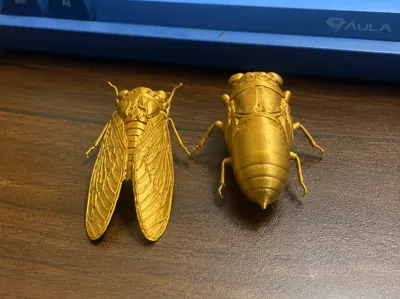 Cicada, golden cicada, summer cicada, cicada nymph, cicada, cicada nymph climbing