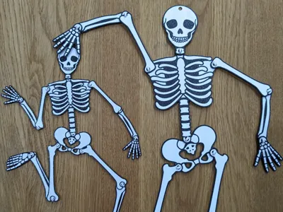 Articulated Halloween Skeleton - Snap Pin Edition