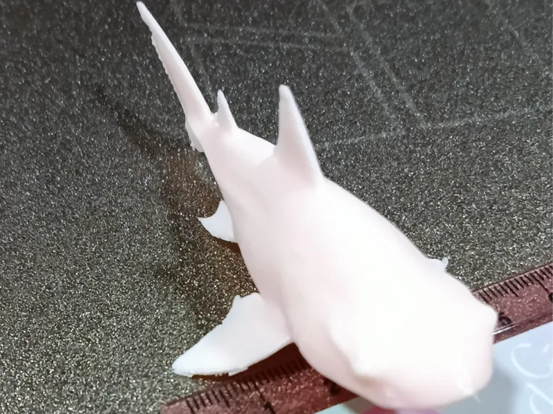 tiburon cabeza de toro 