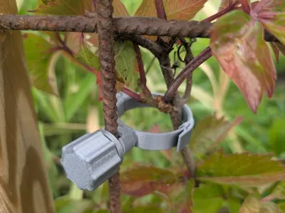 Plant clip