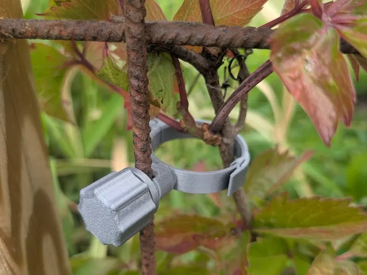 Plant clip