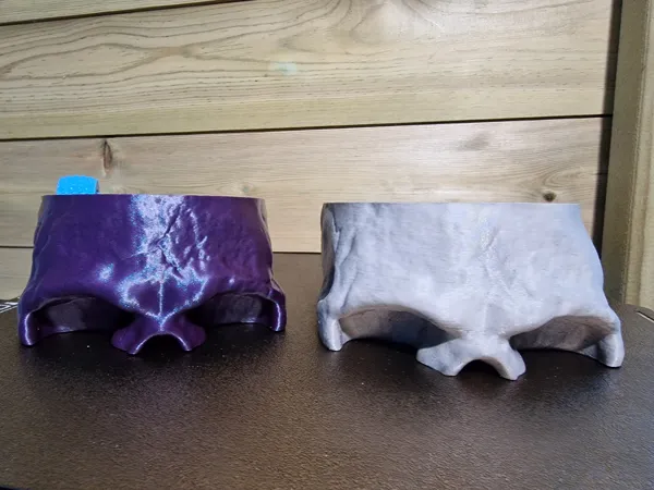 https://makerworld.bblmw.com/makerworld/model/US55b73b53d52f3b/design/2025-01-21_6e24276cb827a.jpg