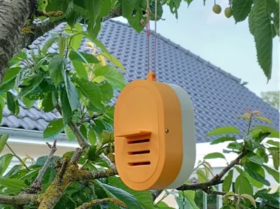 Ladybug House