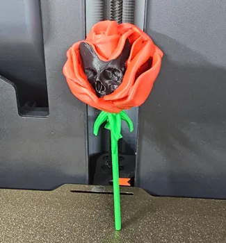 Deadly Rose
