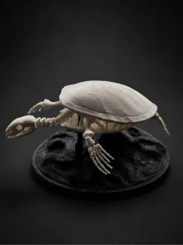 Adorno temático: Sea Turtle Skeleton — vista de referencia 2