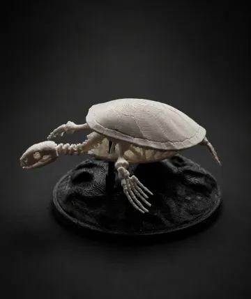Adorno temático: Sea Turtle Skeleton — vista de referencia 4