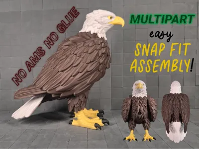 Bald Eagle Stonepeak Crest | Multicolor Multipart
