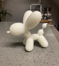 Chien ballon — photo 2