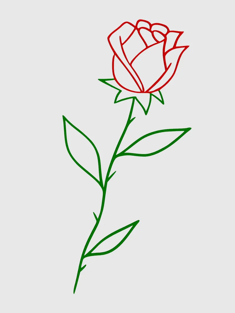 International Women's Day Rose