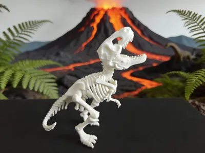 Chibi Dinosaur skeleton mount-Tyrannosaurus rex