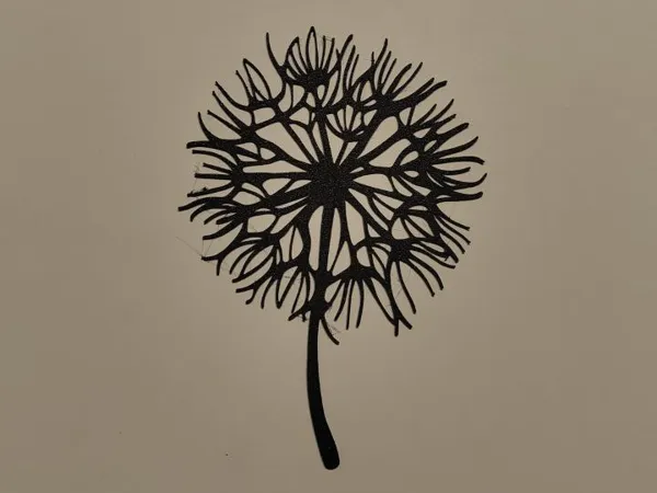 Déco murale fleurs séchées