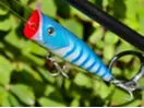 Print>swivel>tie>fish! simple popper lure!