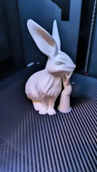 0.2mm layer, 2 walls, "0% infill"