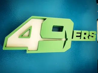 Charlotte 49ers Logo No AMS