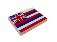 Hawaii Passport Case