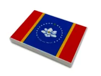 Mississippi Passport Case