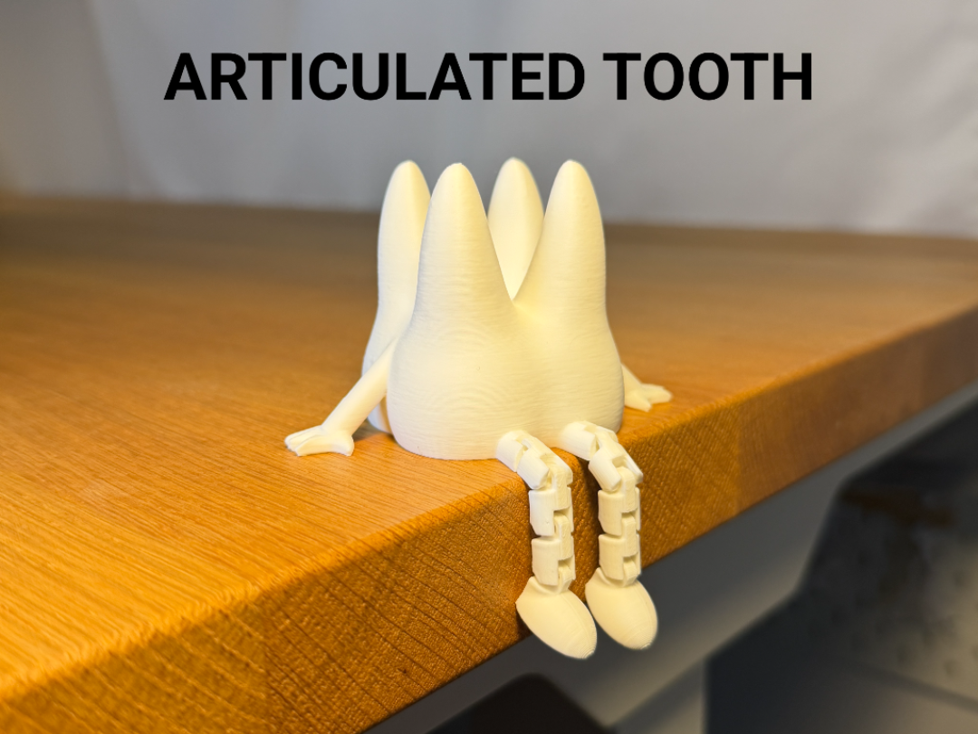 Articulated Tooth Buddy