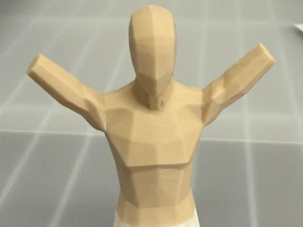 https://makerworld.bblmw.com/makerworld/model/US55e0b156c293f3/design/607d5c42f979c5be.jpg