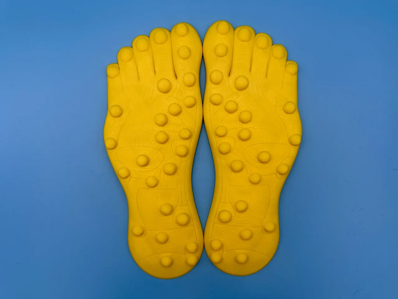 Foot Reflexology Model view 2